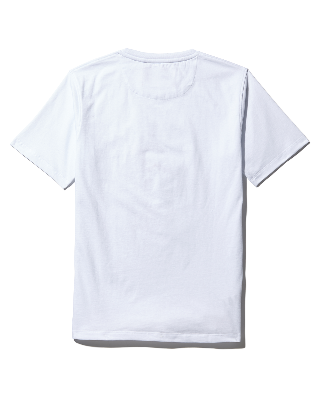 Limited Edition YOUTH ANATOMY BEAR T-SHIRT WHITE