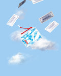 Limited Edition SKYBORNE WALLET
