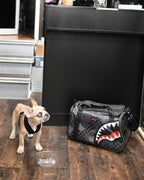 Limited Edition 3AM PET CARRIER