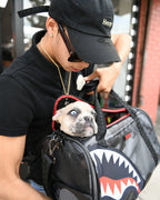 Limited Edition 3AM PET CARRIER
