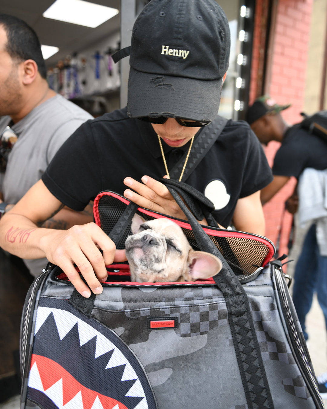Limited Edition 3AM PET CARRIER
