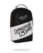 Limited Edition HELLO MY NAME IS 15 YEARS QUILTED BACKPACK SUPER RARE