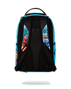 Limited Edition DRAGON BALL Z SUPER SAIYAN BLUE GOKU AND VEGETA