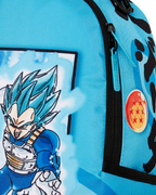 Limited Edition DRAGON BALL Z SUPER SAIYAN BLUE GOKU AND VEGETA