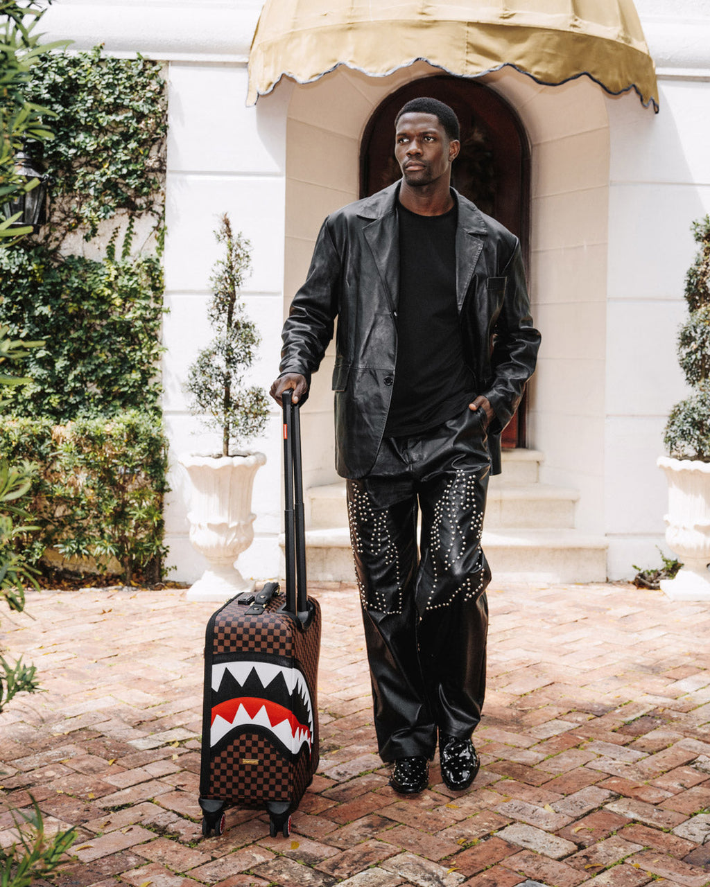 Limited Edition SAWTOOTH SHARKS IN PARIS CARRY-ON LUGGAGE