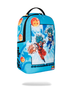 Limited Edition DRAGON BALL Z SUPER SAIYAN BLUE GOKU AND VEGETA