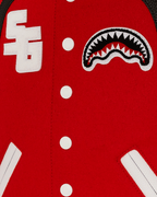 Limited Edition SPRAYGROUND U. BACKPACK