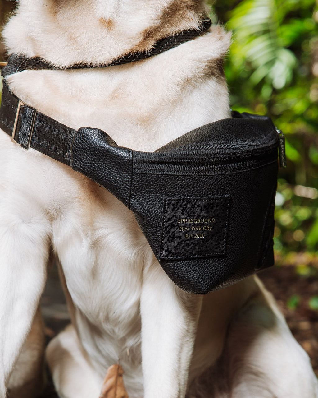 Limited Edition THE HQ SAVVY CROSSBODY