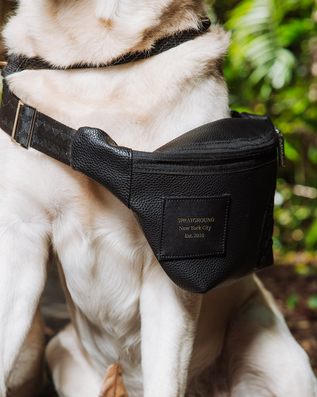 Limited Edition THE HQ SAVVY CROSSBODY