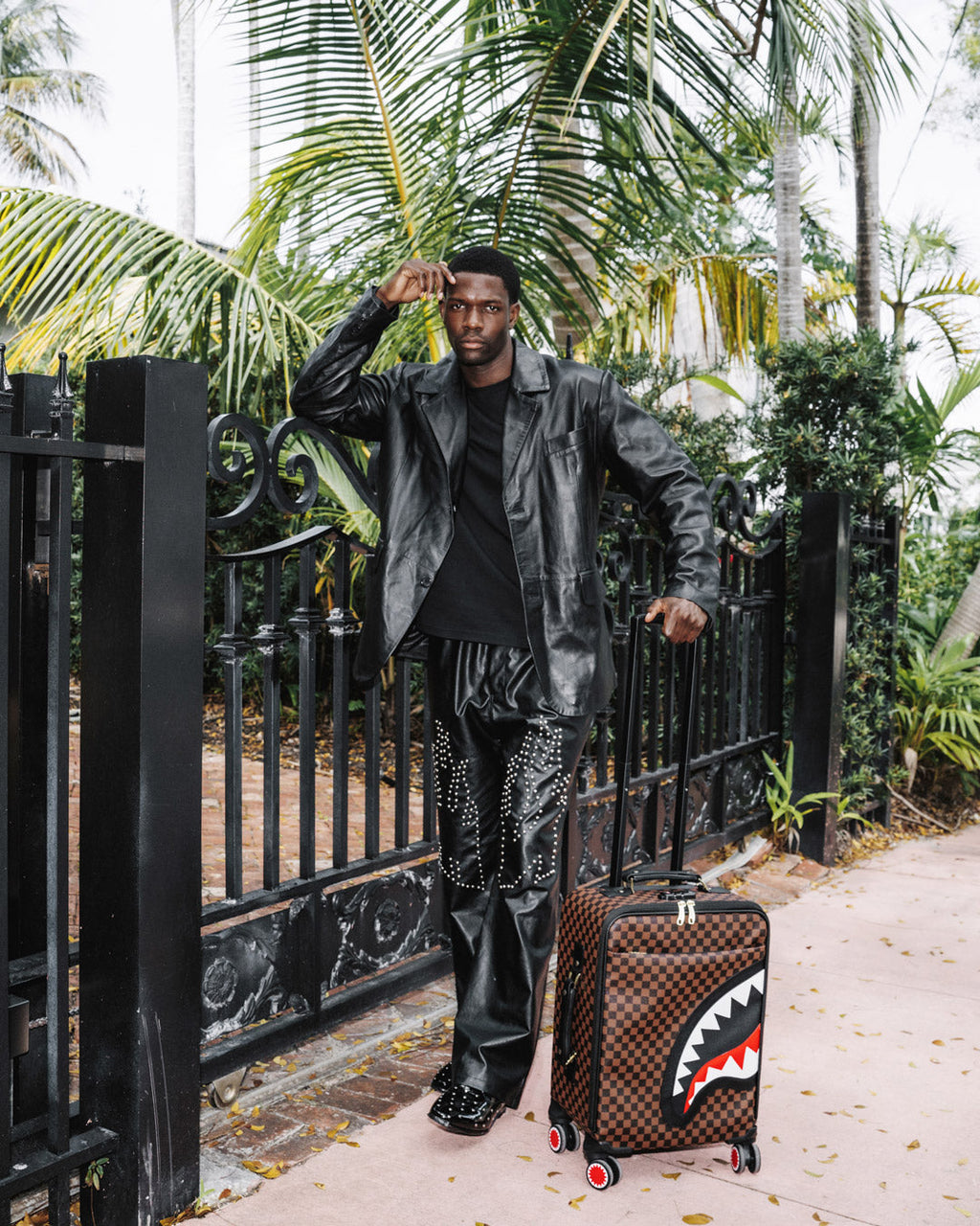 Limited Edition SAWTOOTH SHARKS IN PARIS CARRY-ON LUGGAGE