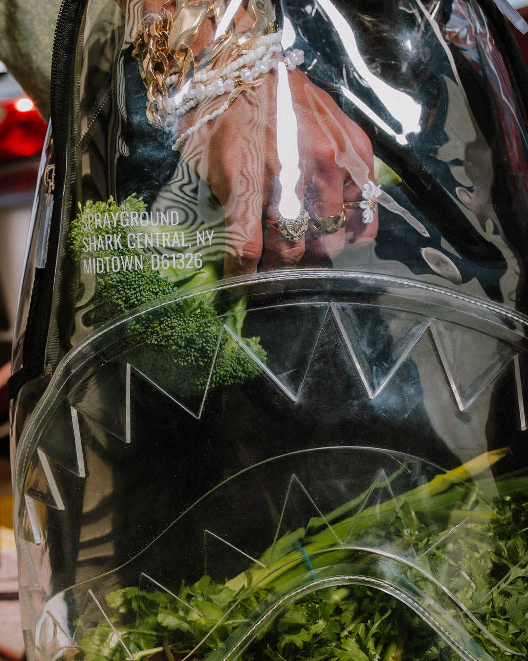 Limited Edition CLEAR BACKPACK - SHARK CENTRAL