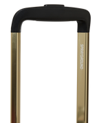 Limited Edition A.I. AFRICAN INTELLIGENCE ELEGANT ENERGY SHARKITECTURE CARRY-ON LUGGAGE - SANDFLOWER COLLAB