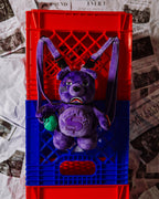 Limited Edition ALL SYSTEMS GO BEAR CUB BACKPACK