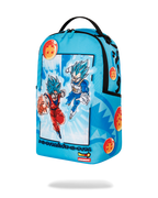 Limited Edition DRAGON BALL Z SUPER SAIYAN BLUE GOKU AND VEGETA