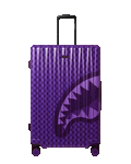 Limited Edition ALL SYSTEMS GO FULL-SIZE LUGGAGE