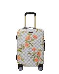 Limited Edition A.I. AFRICAN INTELLIGENCE ELEGANT ENERGY SHARKITECTURE CARRY-ON LUGGAGE - SANDFLOWER COLLAB