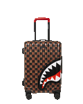 Limited Edition THE HIDEOUT HARD SHELL CARRY-ON LUGGAGE