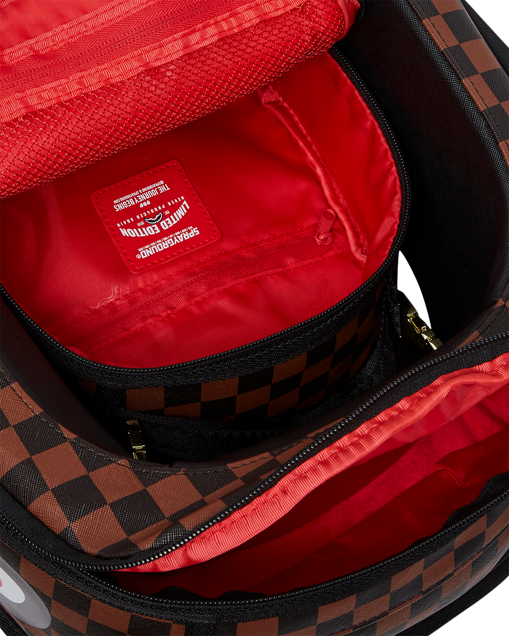 Limited Edition BAG IN A BAG BACKPACK
