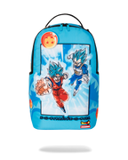 Limited Edition DRAGON BALL Z SUPER SAIYAN BLUE GOKU AND VEGETA