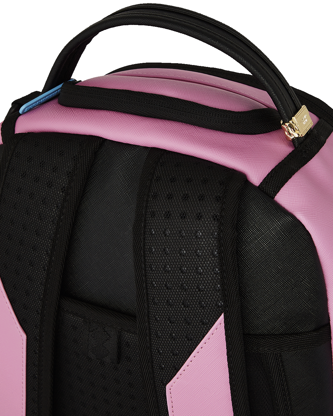 Limited Edition SHARK CENTRAL AMUSEMENT DLXSV BACKPACK
